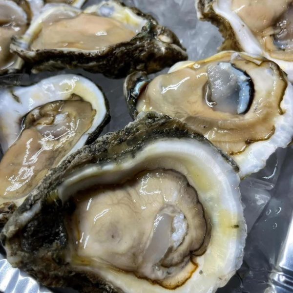 Raw Oysters